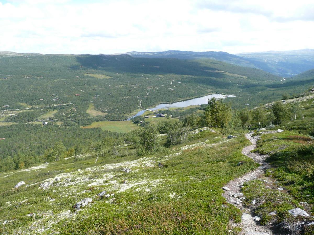 Villa Jonndalen Hoyfjellseter Uvdal Exterior foto